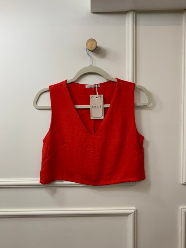 CROPPED VERMELHO DECOTE V LIZIE PP