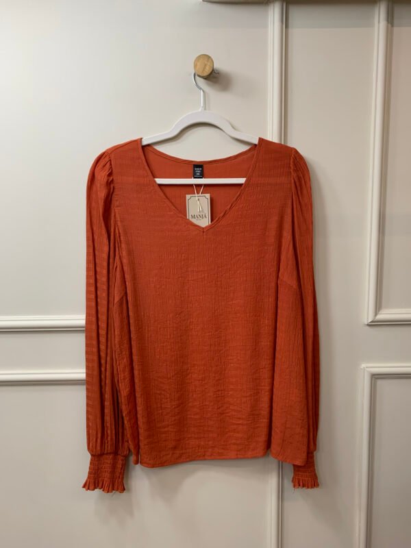 BLUSA TERRACOTA MANGA COMPRIDA GOLA V MANGA COM LASTEX SHEIN 44